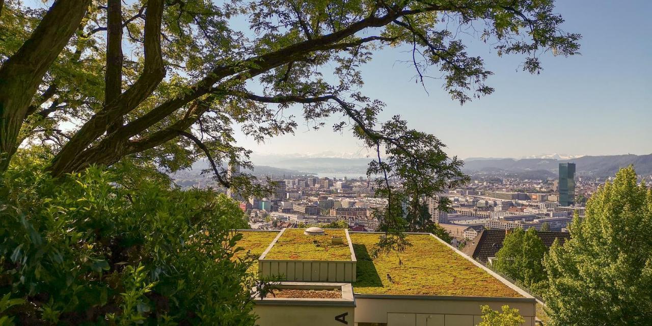 Helvetia 2 Zimmer Apartment Mit Parkplatz Zurich Exterior photo